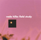 Veda Hille, "Field Study", 2001